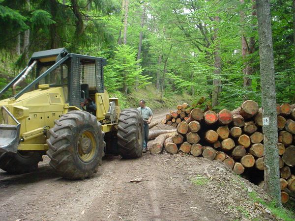 Forêt, bois et carbone en faits et en chiffres : téléchargez le vade-mecum