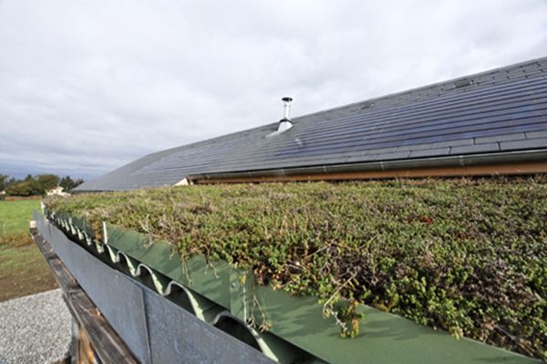 Combinaison toiture végétalisée et ardoises photovoltaïques pour une maison BBC