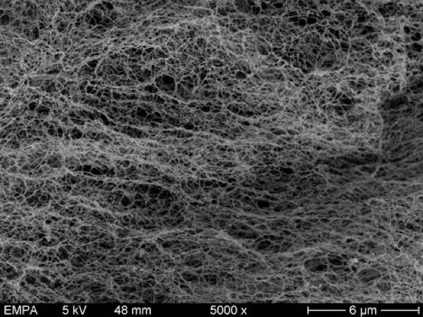 La nanocellulose en poudre : de nouveaux matériaux en perspective