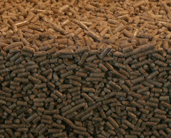 Greenpeace Canada pointe les risques des exportations de granulés de bois vers l’Europe