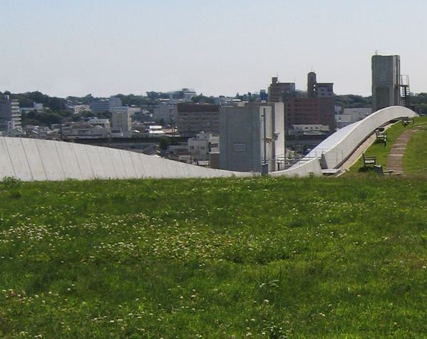 Paris prévoit de végétaliser 7 hectares de toits d’ici à 2020