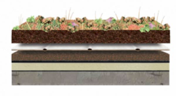 Subirrigation pour toiture végétalisée