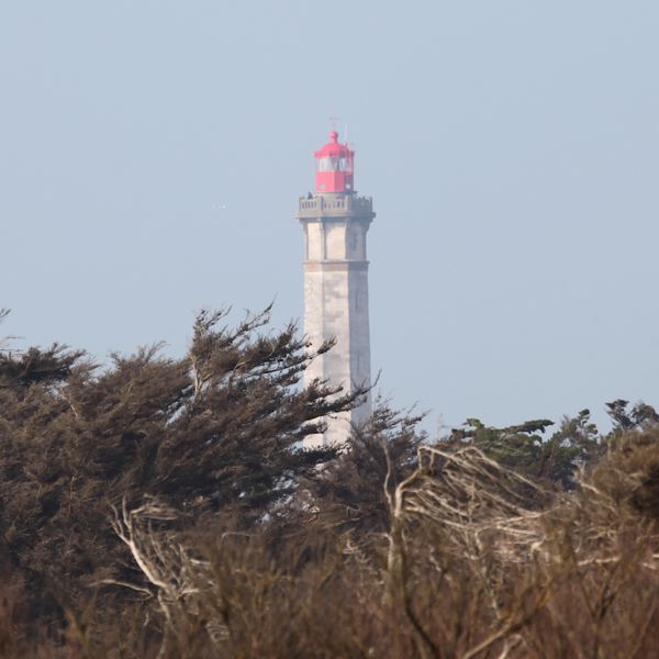 Dix-neuf phares vont devenir des monuments historiques