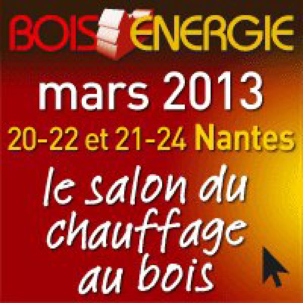 Double événement professionnel bois énergie / biogaz à Nantes