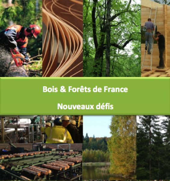 Cécile Duflot a recueilli les propositions pour le développement de la filière bois