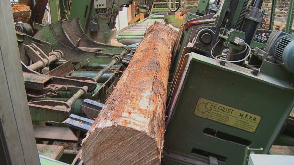 Plan national d’action pour l’avenir des industries de transformation du bois