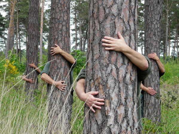 Une campagne bleu-blanc-rouge pour les pins français