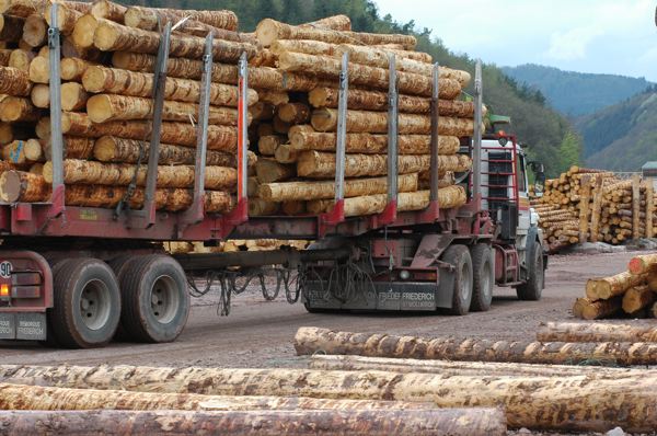 Quid de l’exonération au transport de bois rond ?