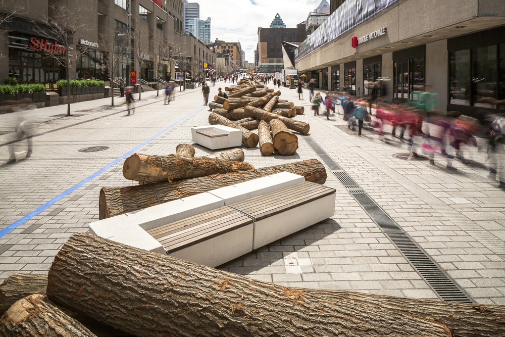 1000 billes de bois jalonnent une rue de Montréal
