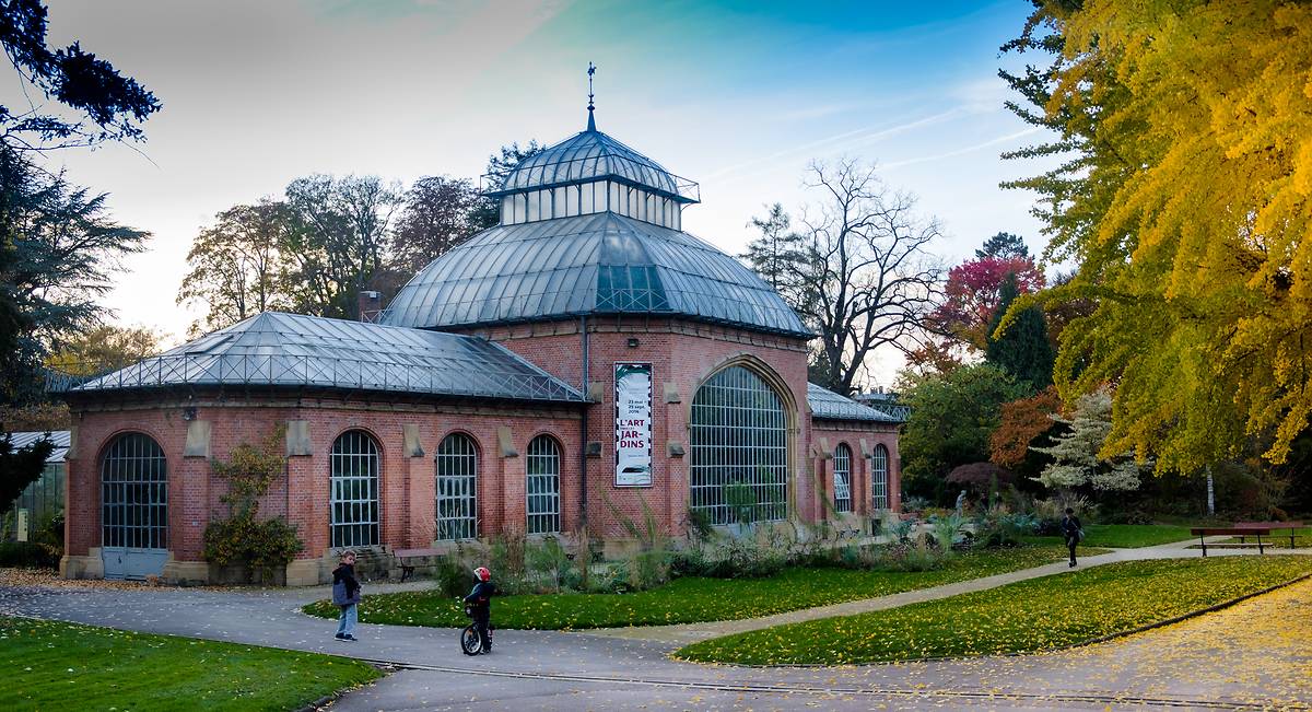 Restauration des serres du jardin botanique de Metz