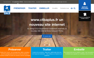 Traitements et parasites du bois : le site web CTBA+ explique tout