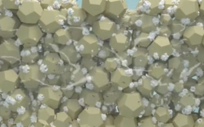 Un bio-ciment prometteur et résistant pour stabiliser les sols