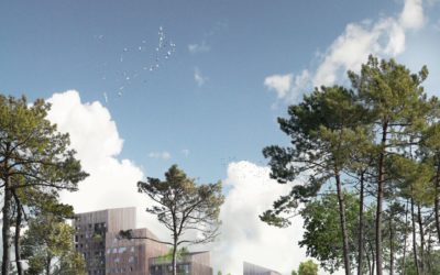 Les Bois d’Angers : immeuble à vivre en Bois