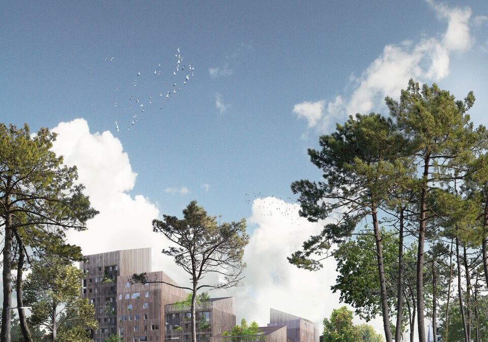 Les Bois d’Angers : immeuble à vivre en Bois