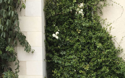 Appel à candidatures pour soutenir la recherche et l’innovation architecturale et paysagère