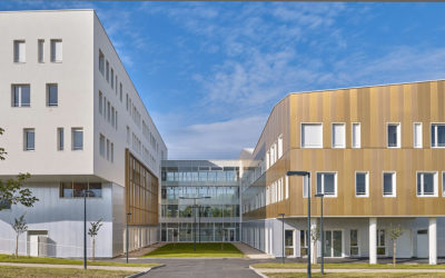 Une université en or