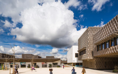 Résille bois sur peau de béton