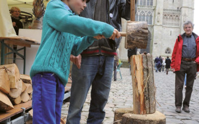 Patrimoine — Formation professionnelle : état des lieux