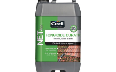 Nettoyant curatif pour une remise à neuf des toitures et terrasses