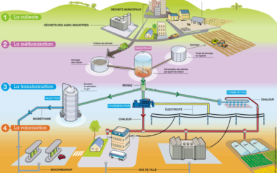 15 propositions pour la méthanisation