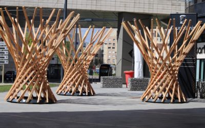 Le forum et les totems