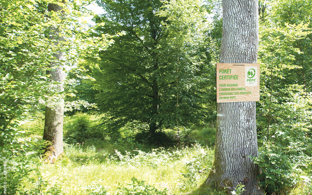 PEFC, le système de certification de gestion forestière durable leader mondial
