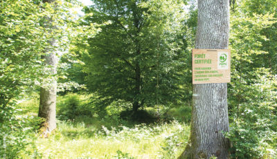 PEFC systeme de certification forestiere