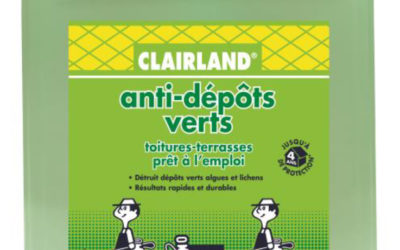 Algues et lichens éliminés des toitures
