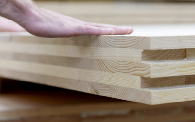 les panneaux CLT Hexapli de Piveteaubois ont obtenu un avis technique