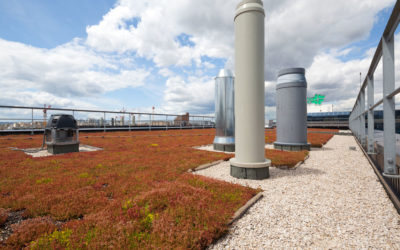 Siplast : l’étanchéité haut de gamme devient universelle