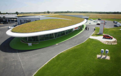 Bacs pré-cultivés modulaires pour la végétalisation extensive des toitures