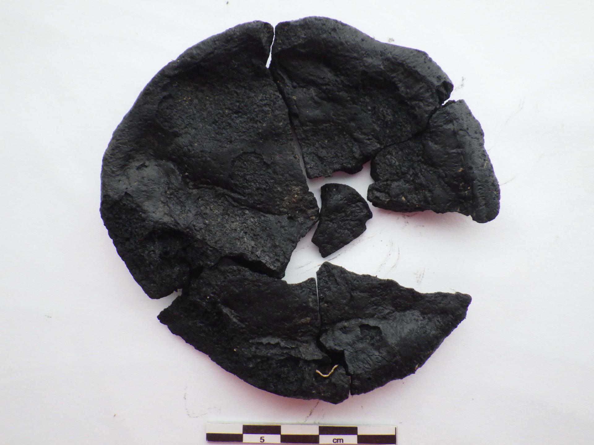 Fouille archéologique : découverte d’une galette de pain carbonisée du Ier siècle