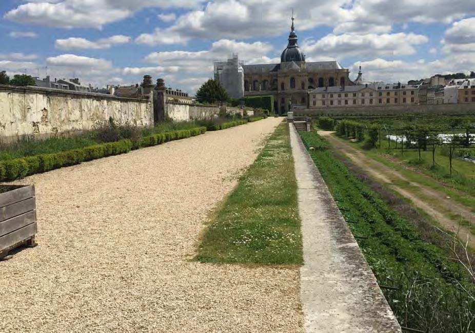 Des associations demandent la restitution du Potager du roi au château de Versailles