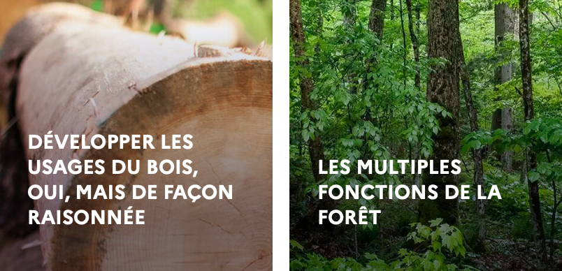 L’Ademe publie un dossier « Forêts et filières bois : un équilibre à trouver »