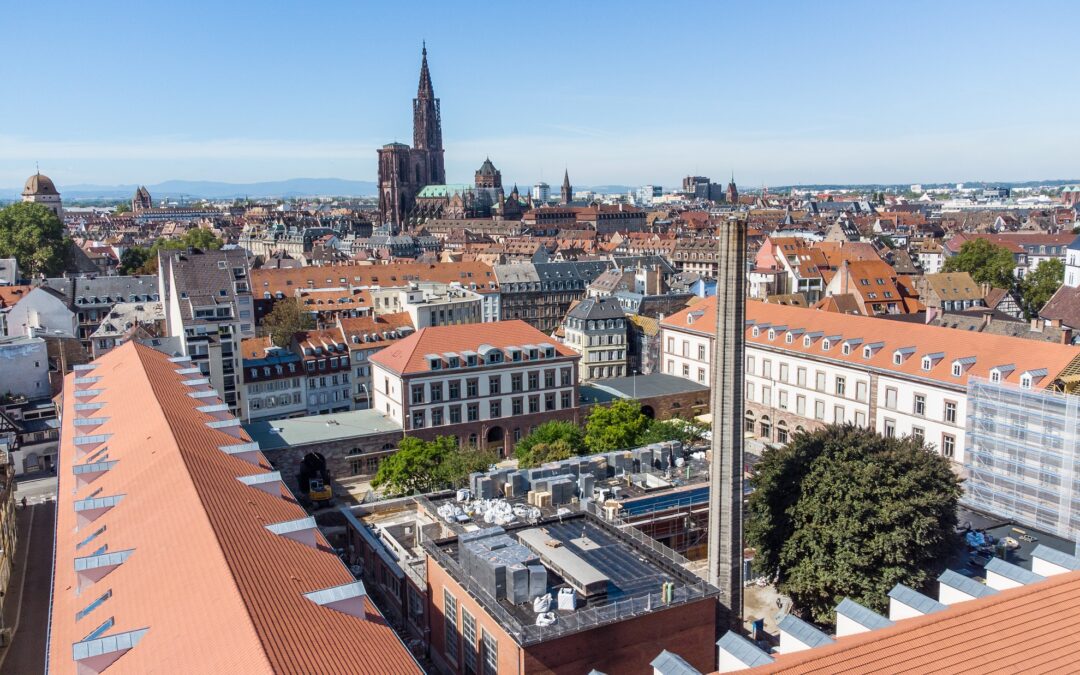 Manufacture des tabacs de Strasbourg : les toitures terrasses verdissent le monument historique