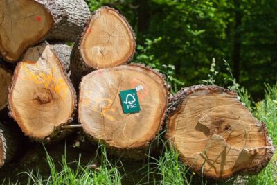 Constructions certifiées FSC® : votre engagement pour une gestion responsable des forêts