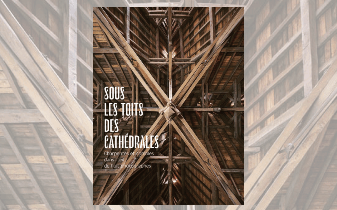 Sous les toits des cathédrales