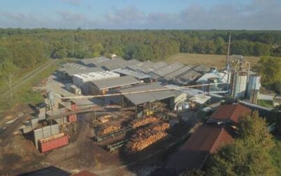 Audy : un jeune dirigeant pour une scierie landaise