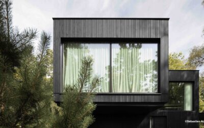 Une cabane contemporaine qui se confond avec la forêt