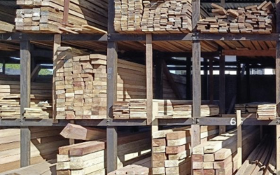 Un soutien bancaire pour renforcer la filière bois-emballage