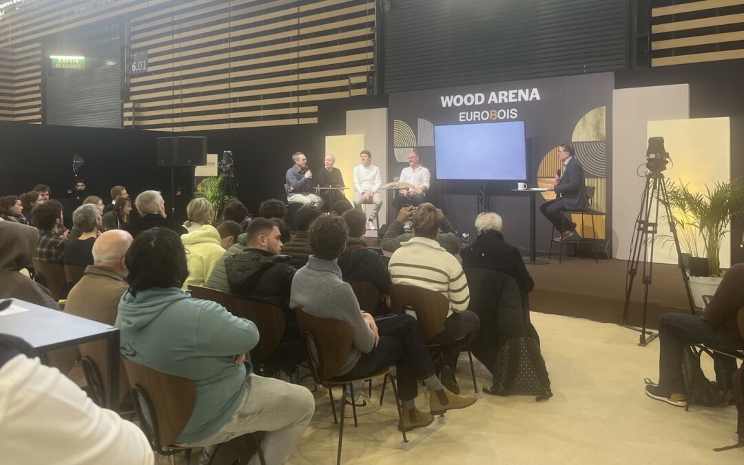 Bois dépérissant : les enjeux de la valorisation