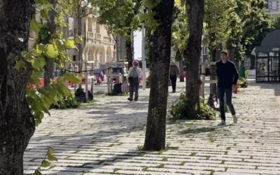 Cours Jonville : une requalification urbaine fondée sur le végétal à Granville