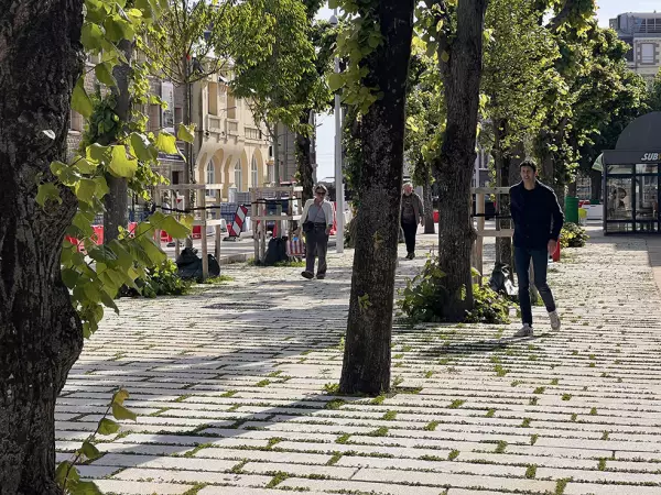 Cours Jonville : une requalification urbaine fondée sur le végétal à Granville