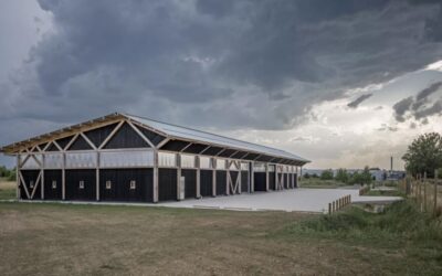 À Montévrain, une halle agricole mutualisée sous charpente bois