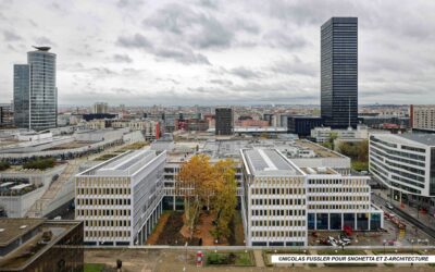 Et au milieu une allée de platanes